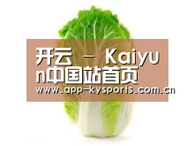 产品名称一