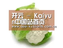 产品名称九