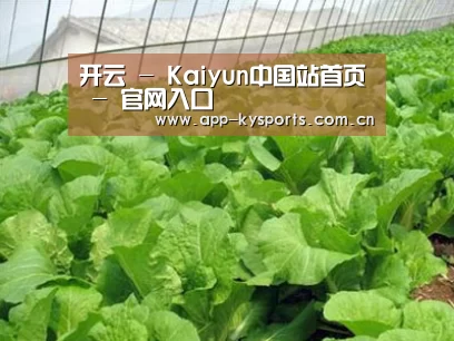 种植基地一