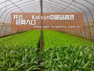 种植基地四