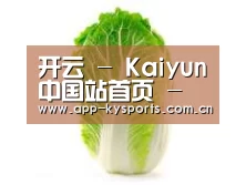 产品名称一(图1)